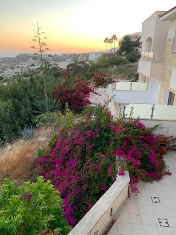 Appartamento Beau Views Seven Peyia Esterno foto